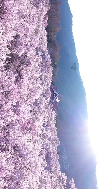 穿衣镜放在哪里好 穿衣的镜摆放风水游戏画面
