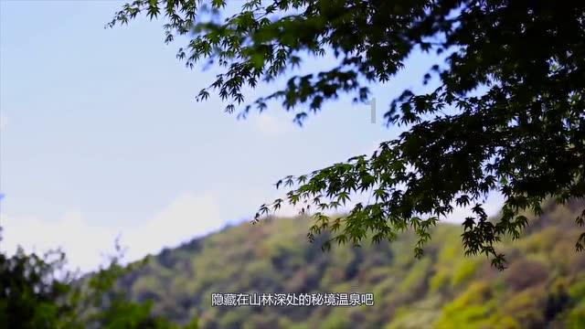 贼肖是什么生肖？游戏画面