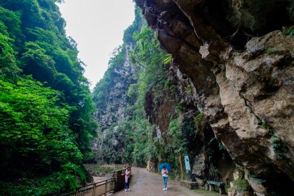逃离椰子岛