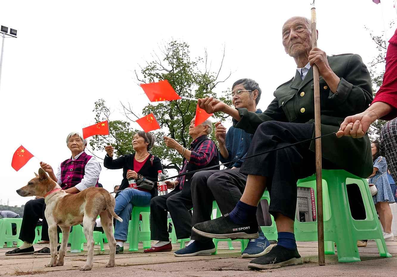 寻找萌宠松鼠