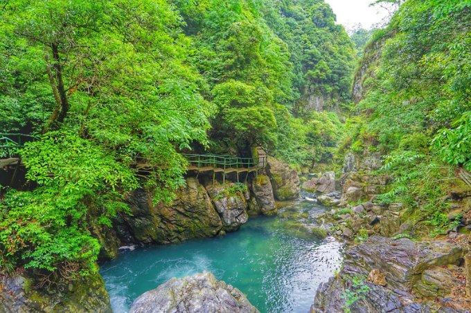 我国学者发现新物种大别山壁虎,研究人员:最大特点是“爱咬人”