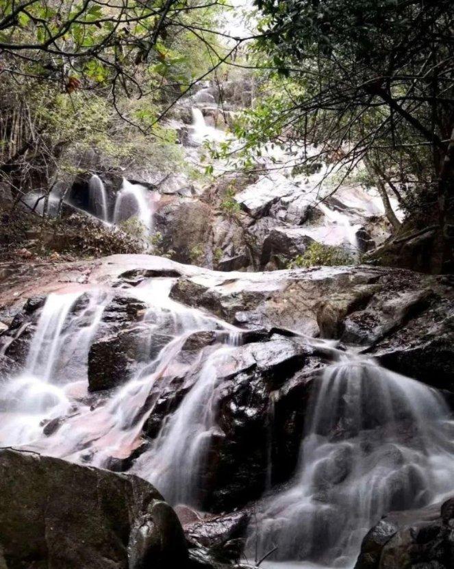拯救巧虎4